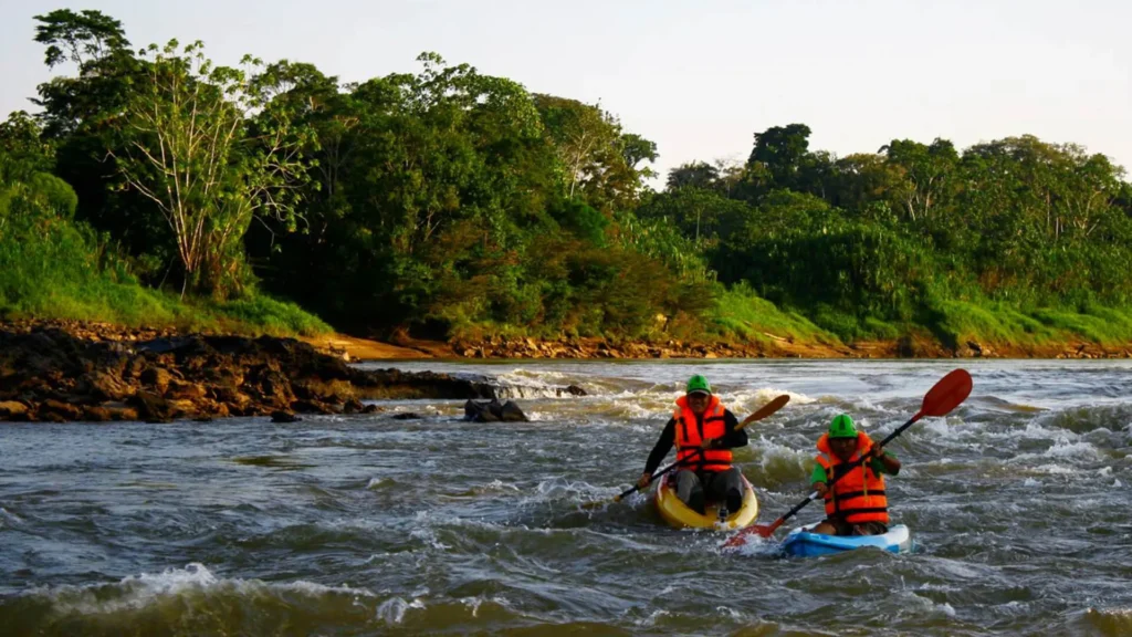 Navigate the Tambopata National Reserve 