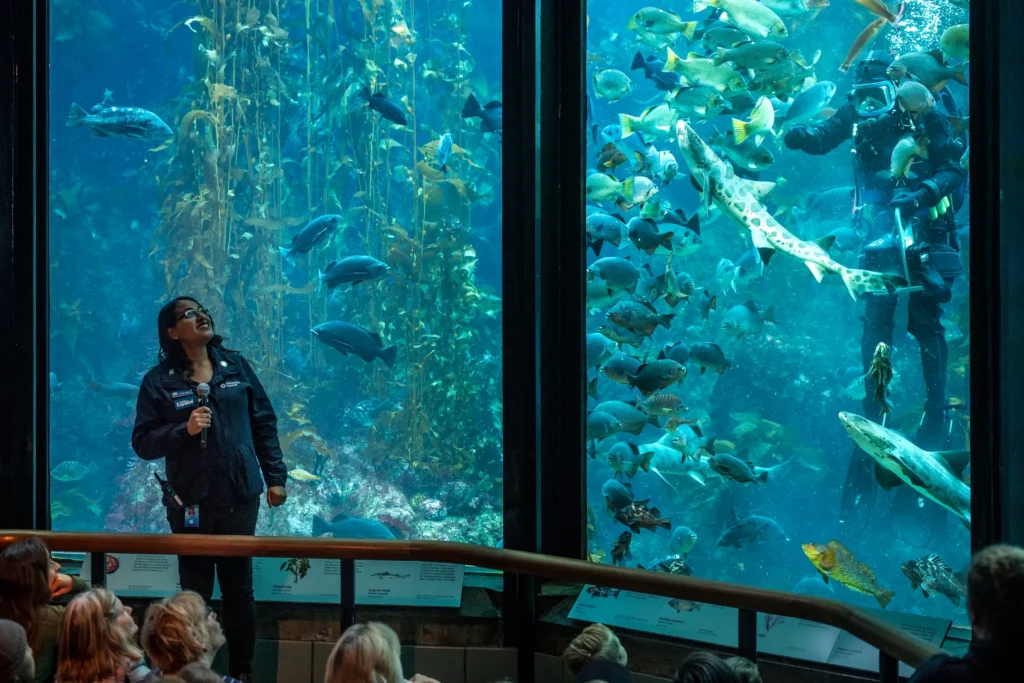 Monterey Bay Aquarium