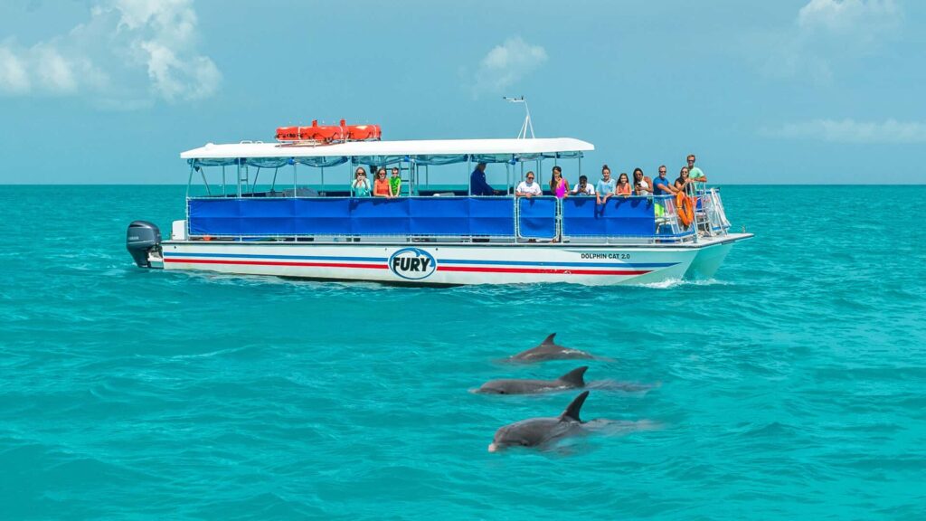 Key West Dolphin Watch