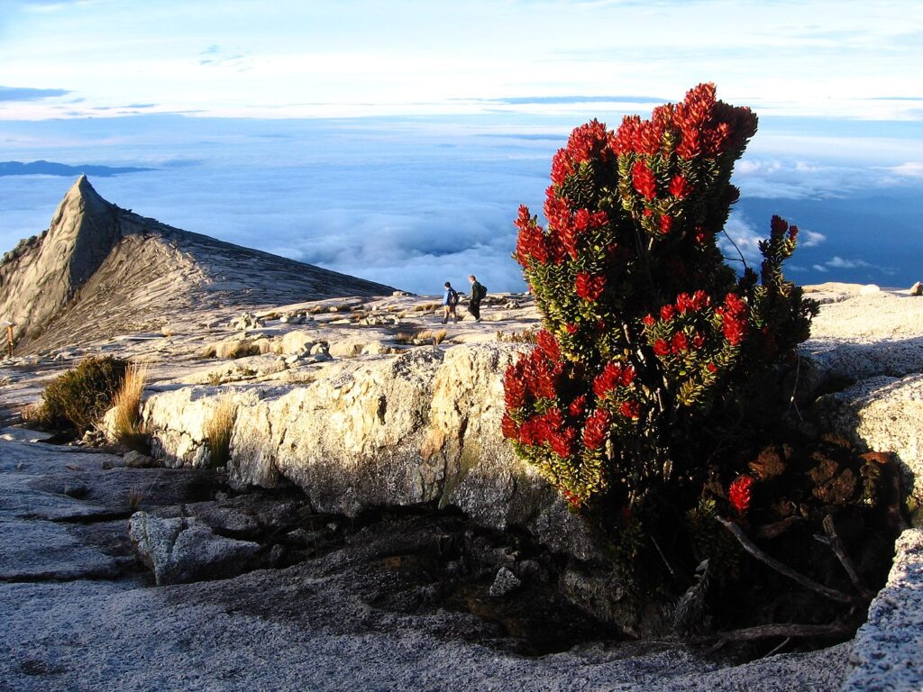 Kinabalu National Park Itinerary