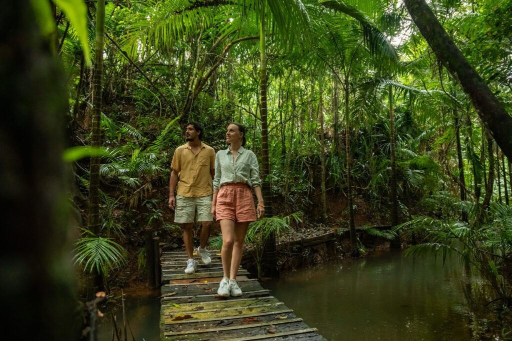 Daintree Rainforest.