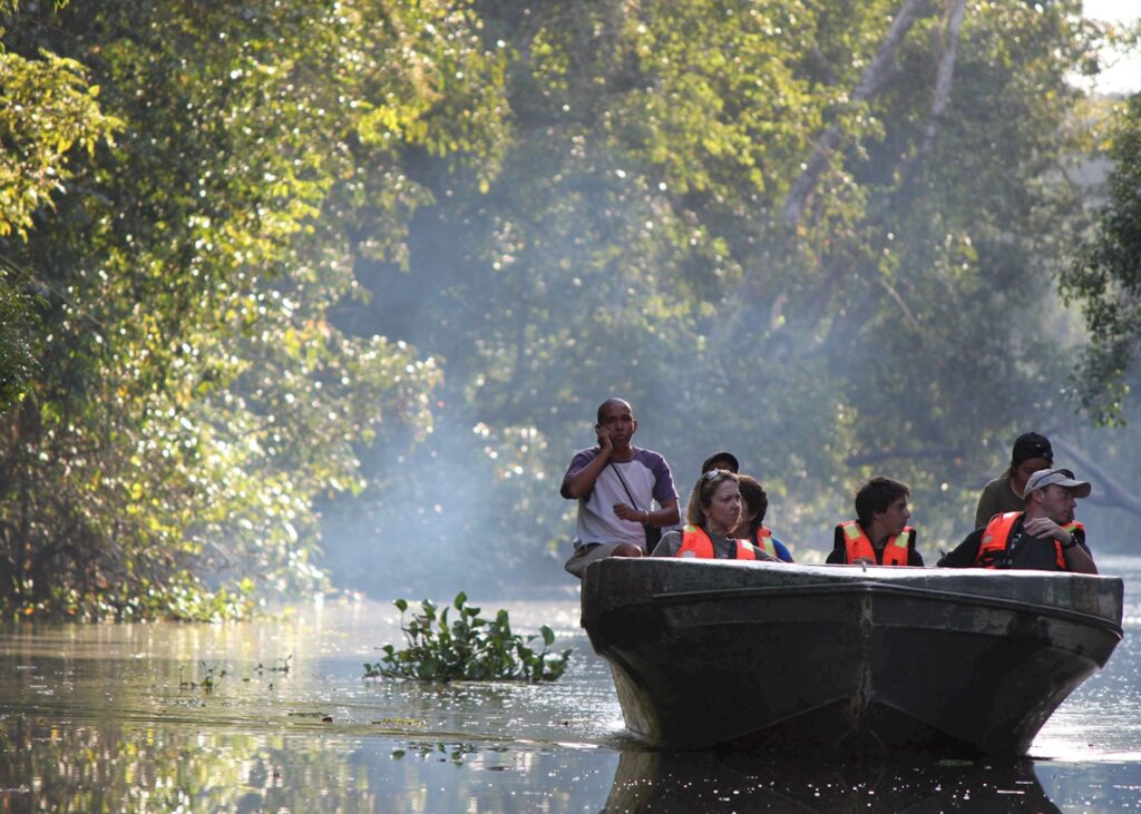 Take morning and evening river safaris