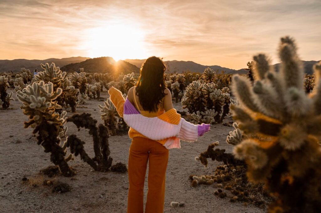 Garden in Joshua Tree