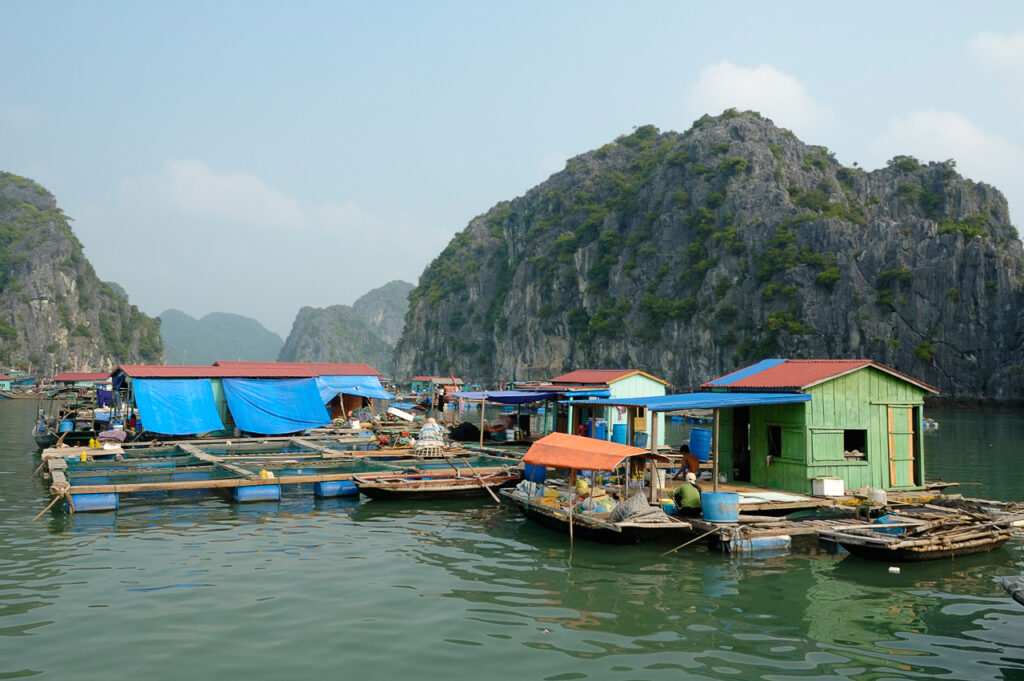 Ha Long Bay Itinerary