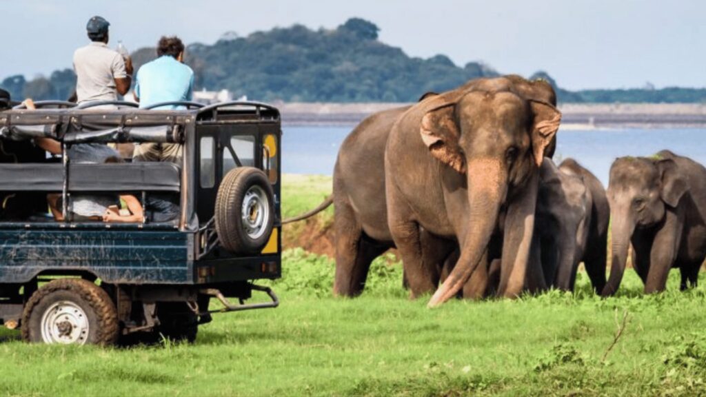 Yala National Park Itinerary