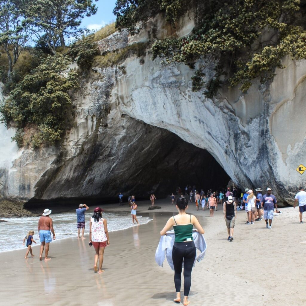 What to Do in the Coromandel Peninsula