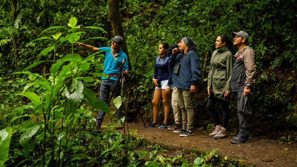 Monteverde Cloud Forest Biological Reserve.