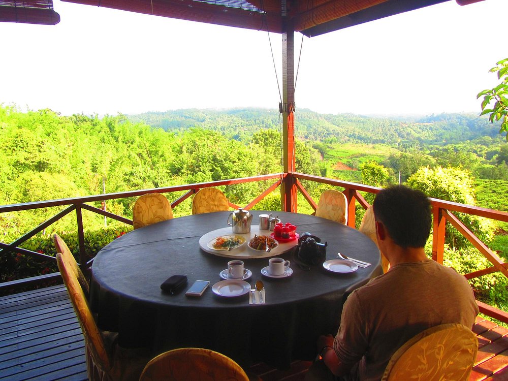 Sabah Tea Garden